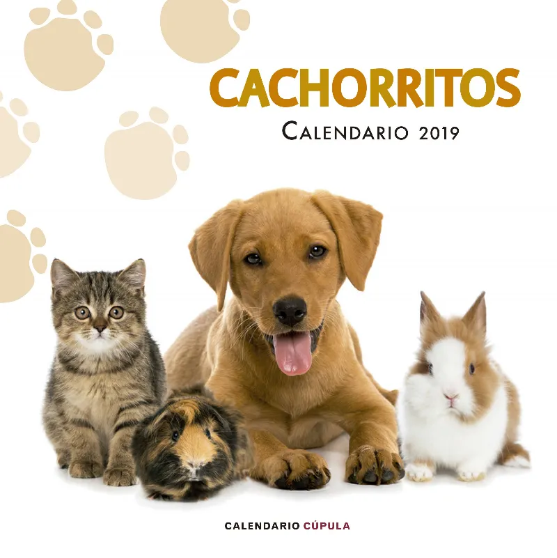 CACHORRITOS