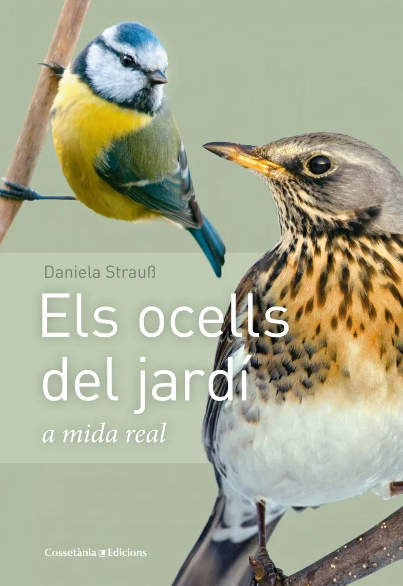 OCELLS DEL JARDI A MIDA REAL, ELS