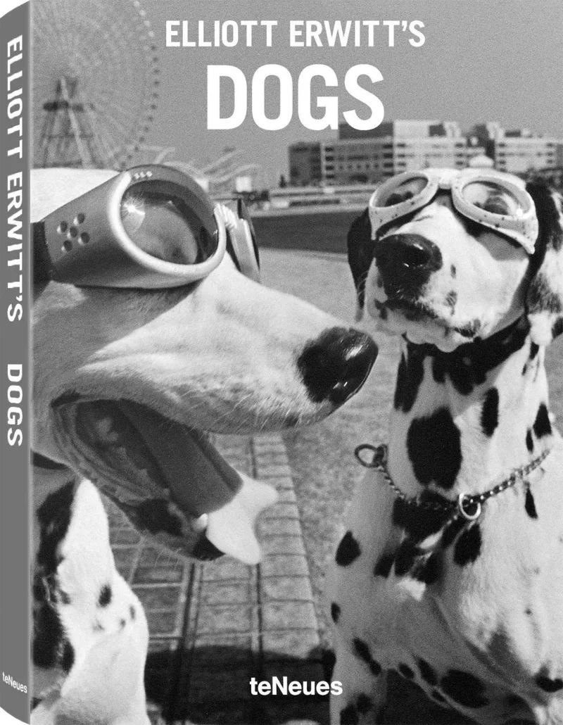 DOGS