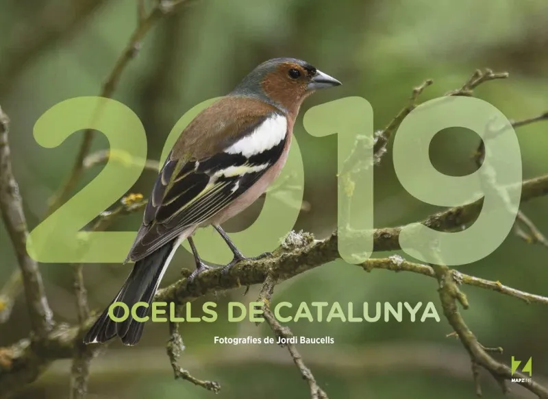 CALENDARI 2019 OCELLS DE CATALUNYA