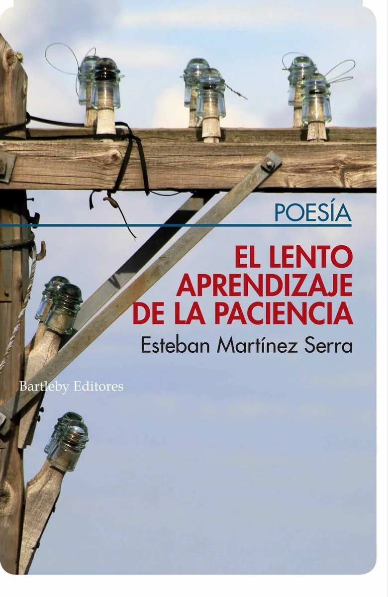 LENTO APRENDIZAJE DE LA PACIENCIA, EL