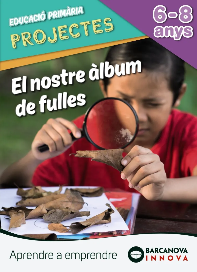PROJECTES EDUCACIO PRIMARIA 6-8 ANYS