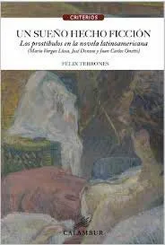 SUEÑO HECHO FICCION, UN