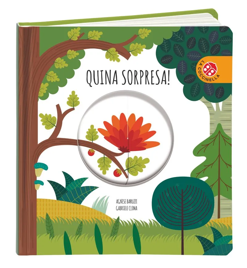 QUINA SORPRESA -RODES MAGIQUES-