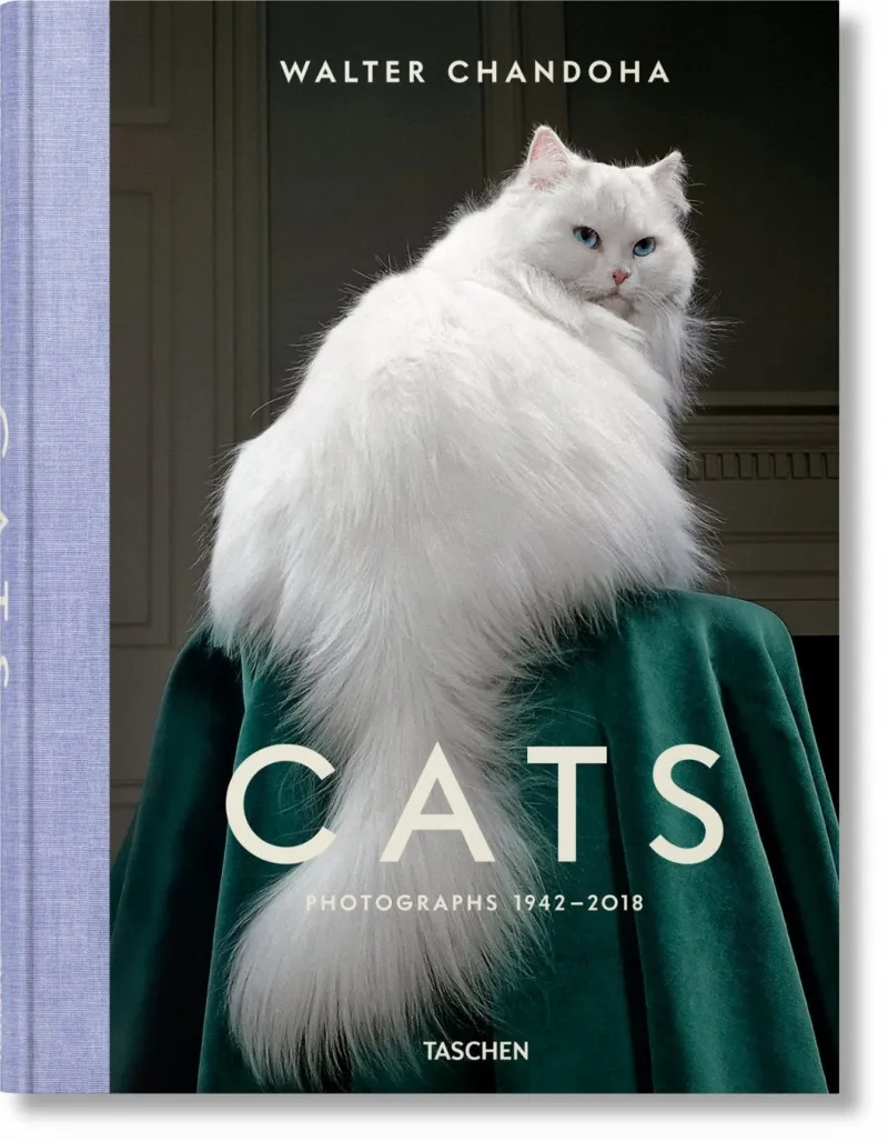 CATS PHOTOGRAPHS 1942-2018
