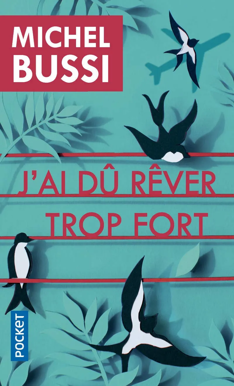 J'AI DU REVER TROP FORT