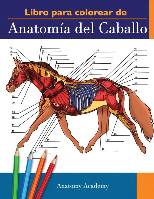 LIBRO PARA COLOREAS ANATOMIA DEL CABALLO