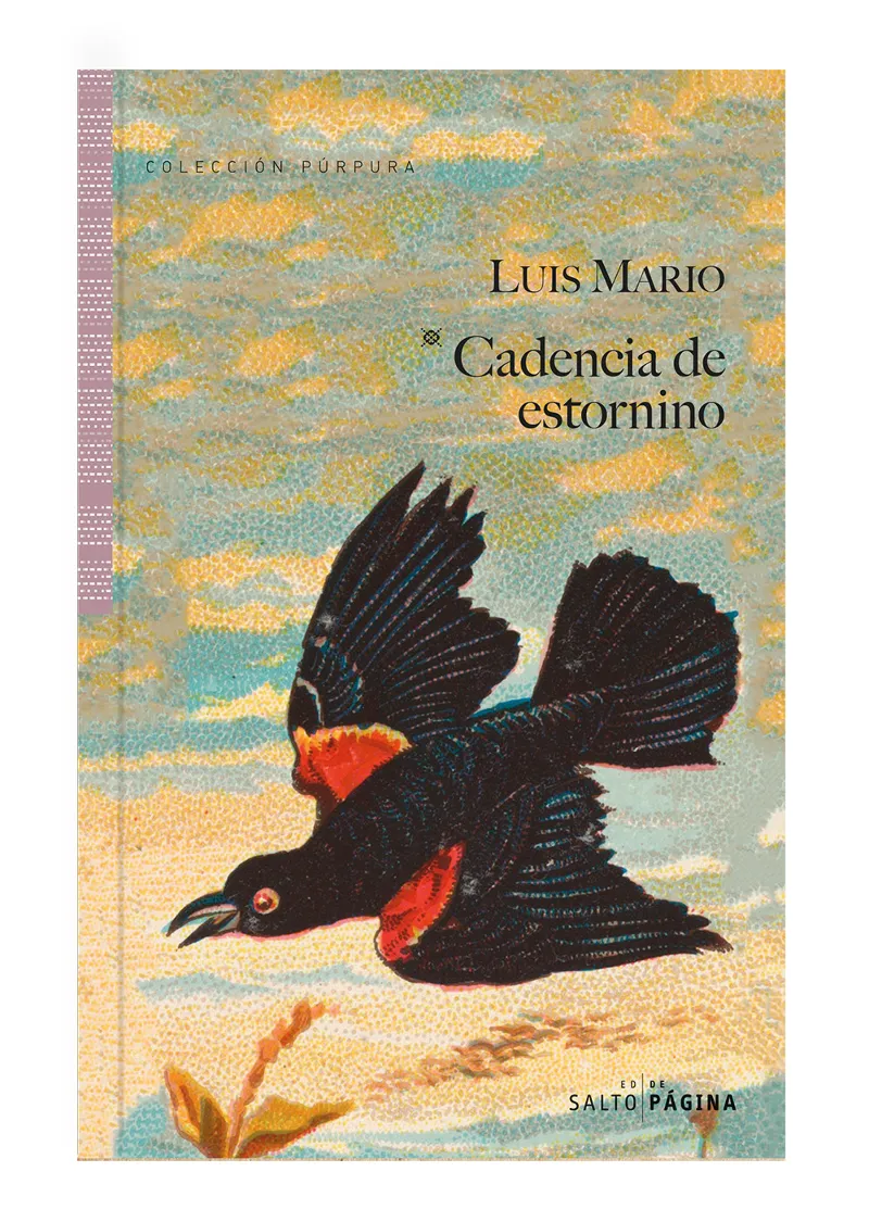 CADENCIA DE ESTORNINO