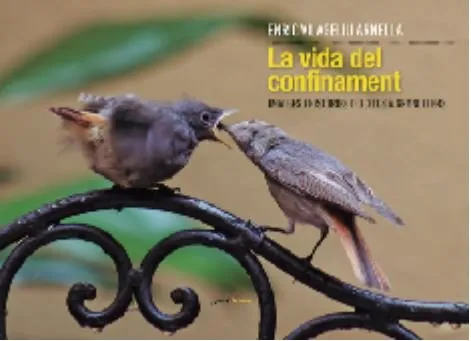 VIDA DEL CONFINAMENT, LA