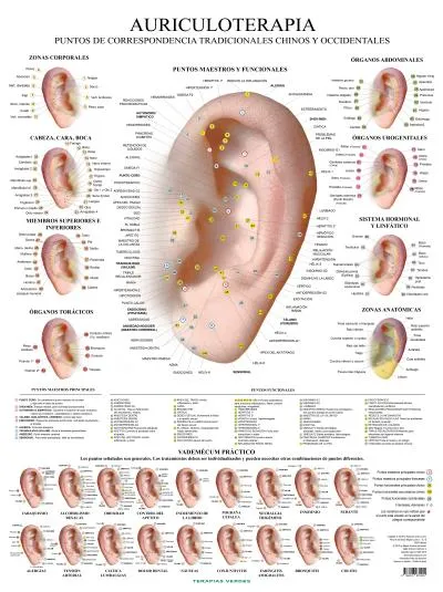 AURICULOTERAPIA -LAMINAS-