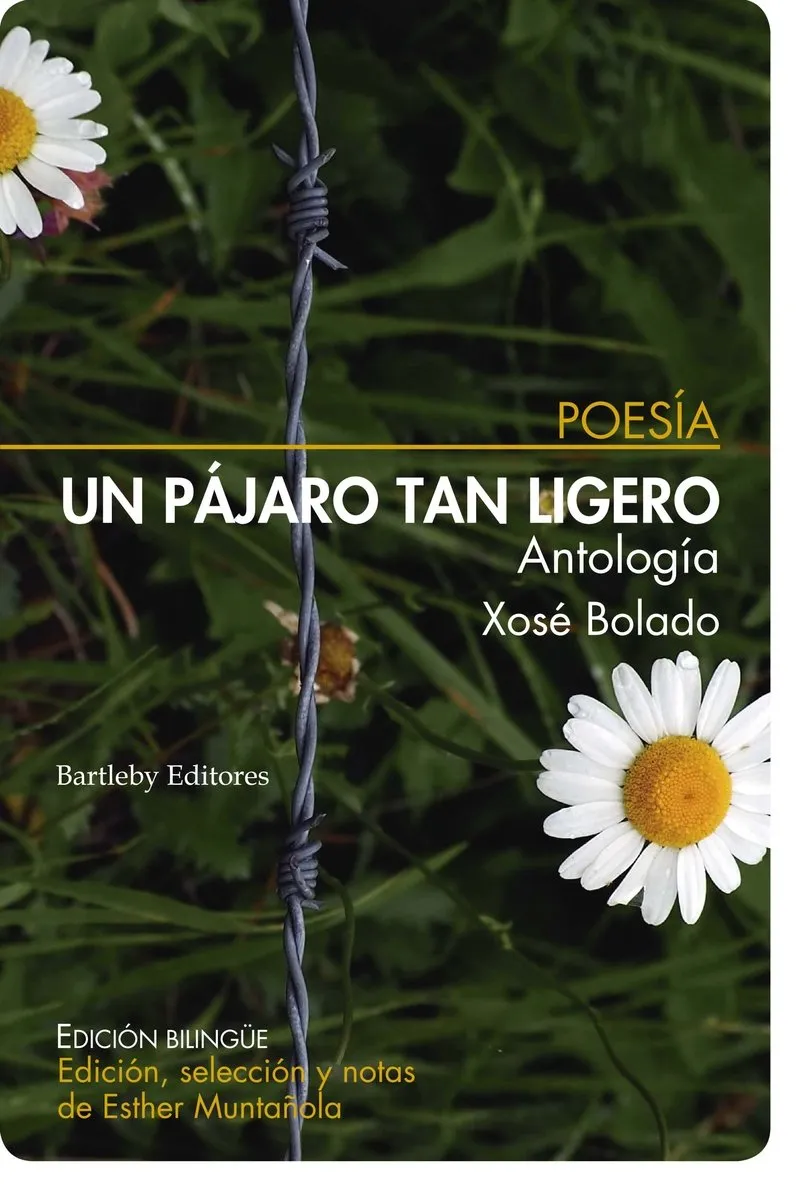 PAJARO TAN LIGERO, UN -ED. BILINGUE-