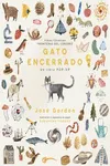 GATO ENCERRADO -POP UP-
