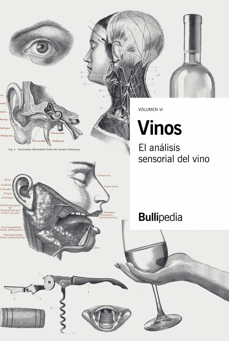 VINOS VOL. VI