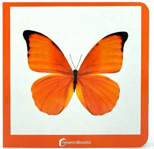 NARANJA -PETITI DE CARTRO-