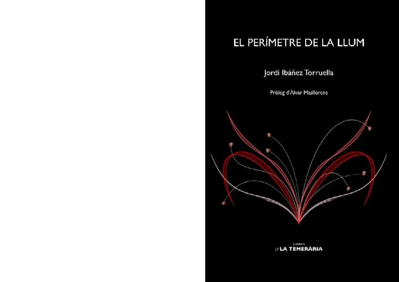 PERIMETRE DE LA LLUM,EL