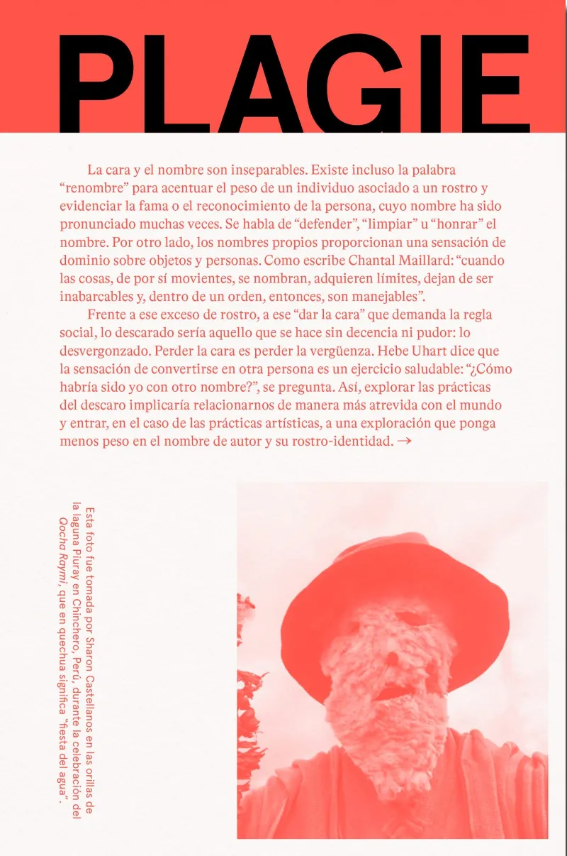 PLAGIE,COPIE,MANIPULE,ROBE,REESCRIBA ESTE LIBRO
