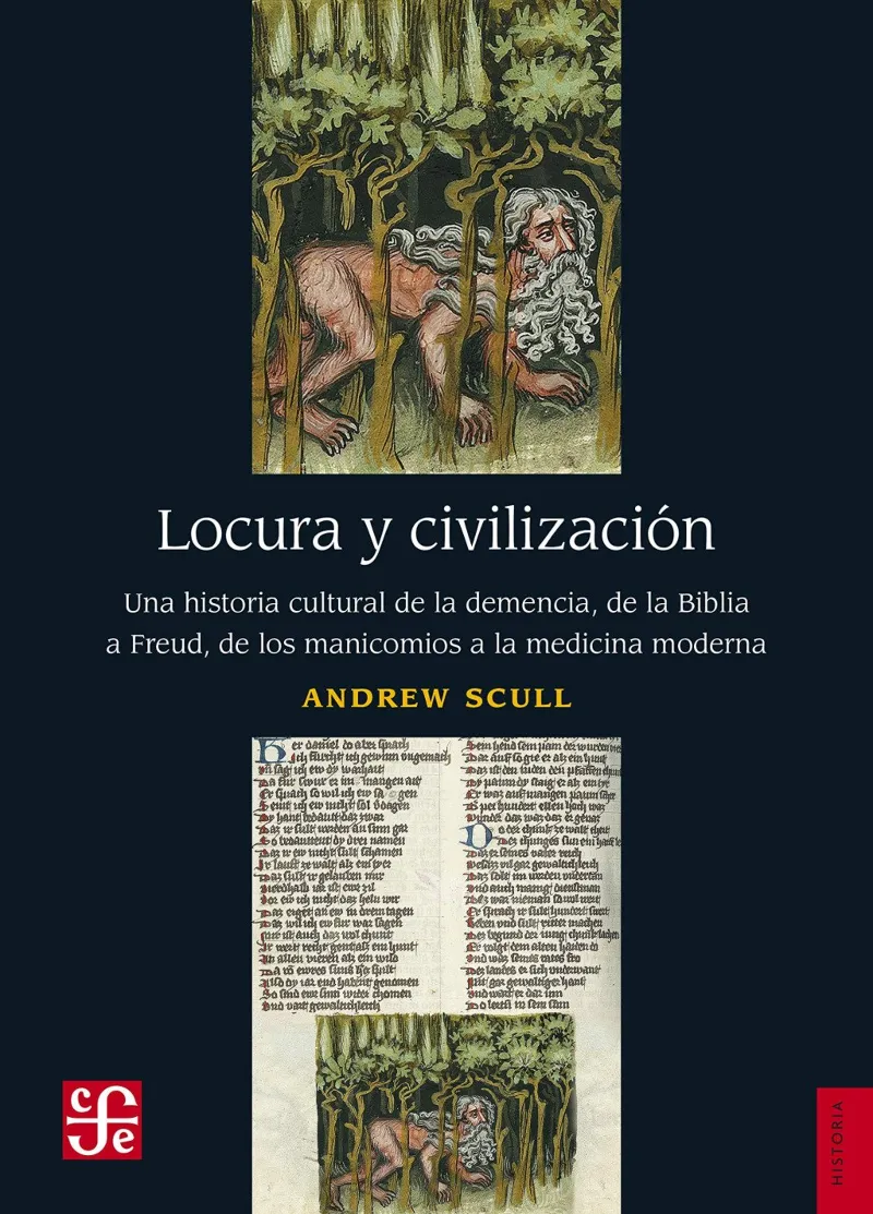 LOCURA Y CIVILIZACION.UNA HISTORIA CULTURAL DE LA DEMENCIA