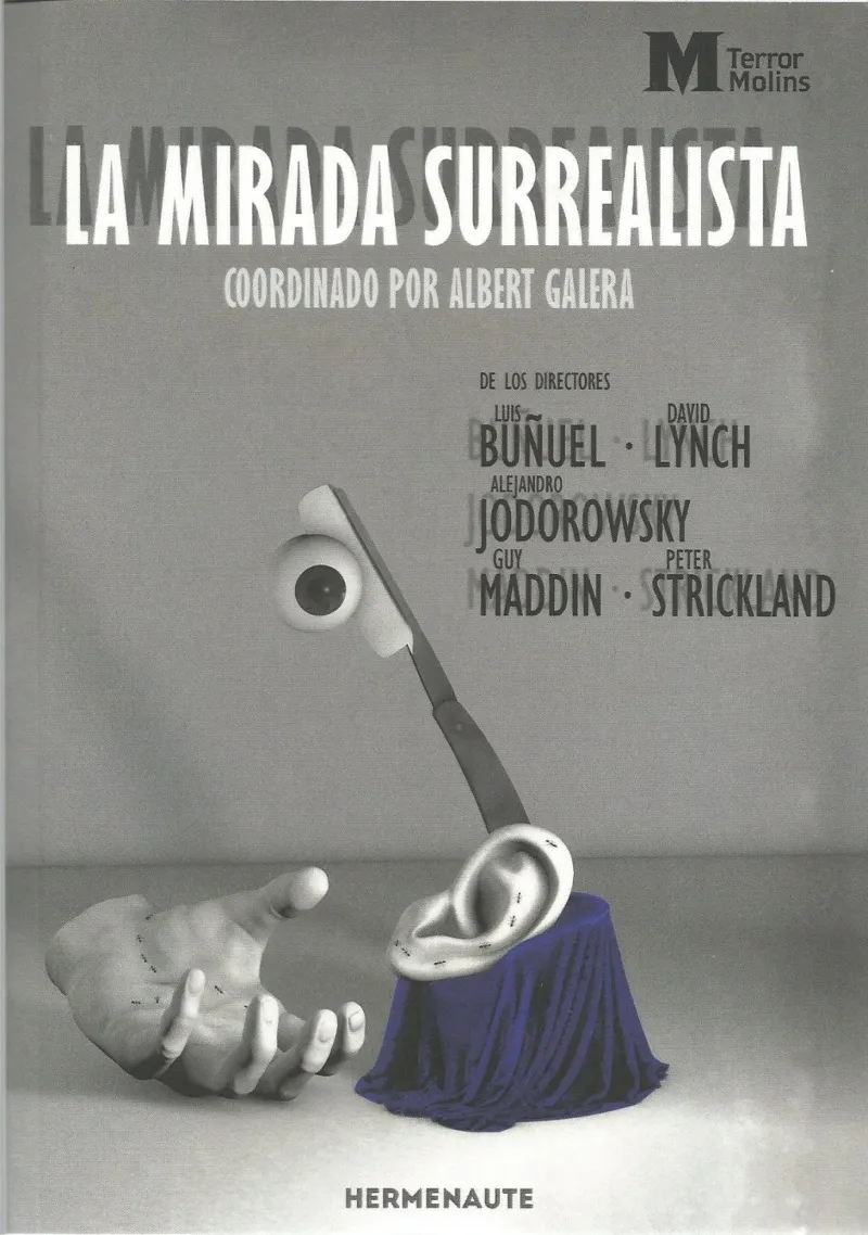 LA MIRADA SURREALISTA