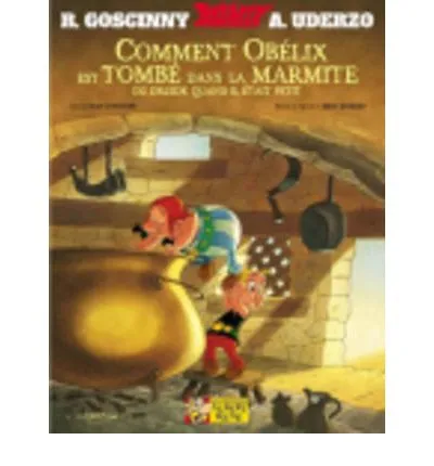 ASTERIX COMMENT OBELIX EST TOMBE DANS LA MARMITE
