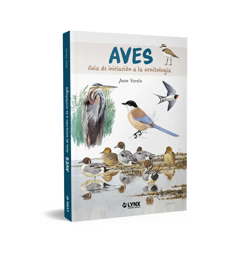 AVES