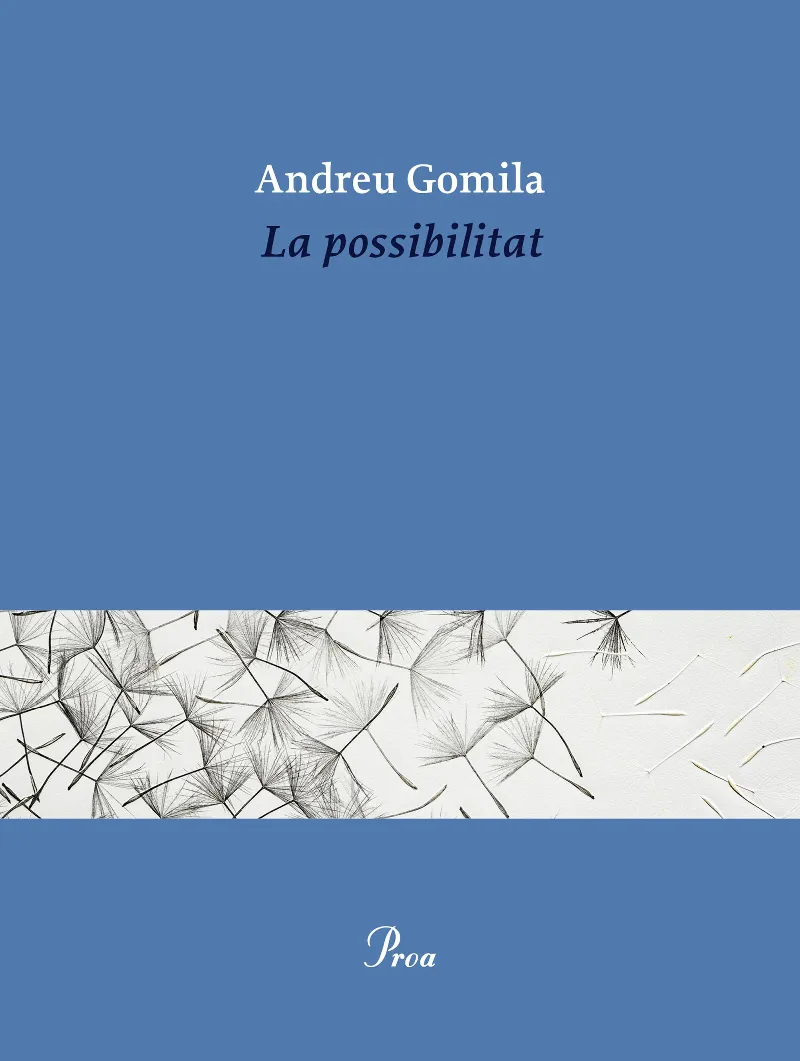 LA POSSIBILITAT