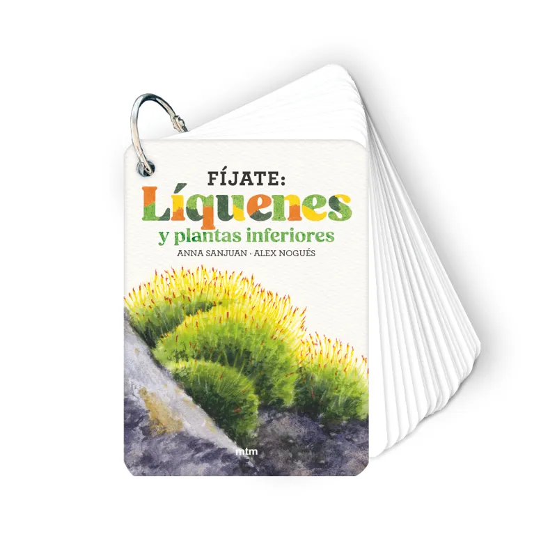 FÍJATE.LÍQUENES Y PLANTAS INFERIORES