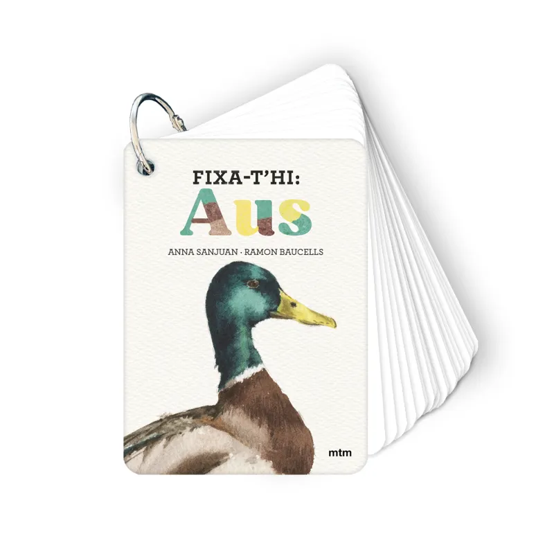 FIXA-T'HI.AUS