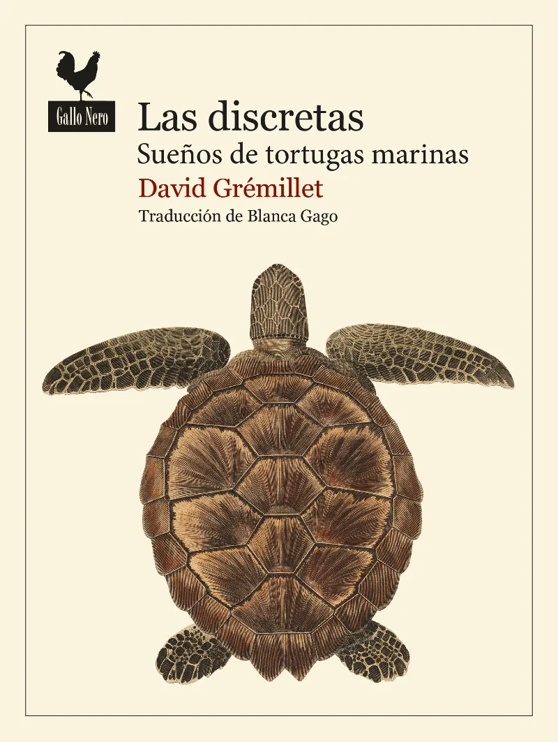LAS DISCRETAS