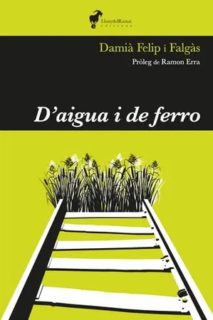 D'AIGUA I DE FERRO