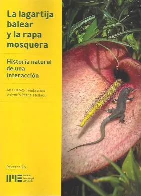 LA LAGARTIJA BALEAR Y LA RAPA MOSQUERA