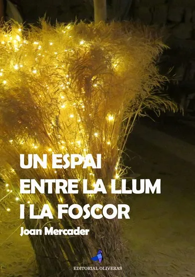 UN ESPAI ENTRE LA LLUM I LA FOSCOR