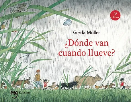 DONDE VAN CUANDO LLUEVE (3ª EDICIÓN)