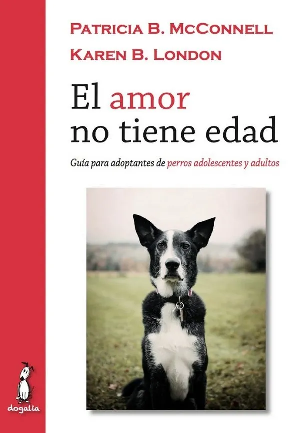 EL AMOR NO TIENE EDAD