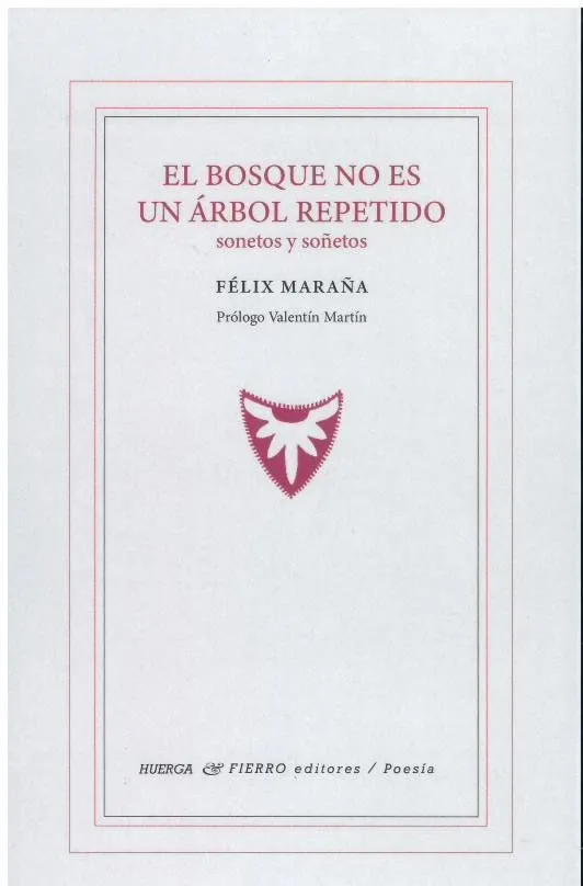 El bosque no es un árbol repetido