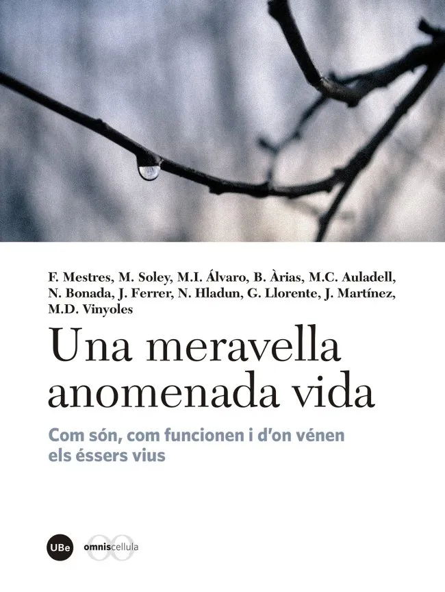 Una meravella anomenada vida