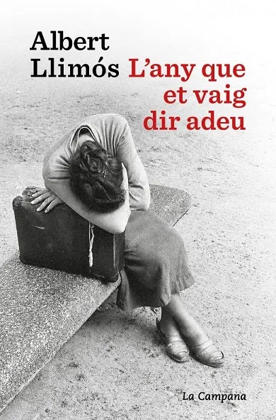 L'any que et vaig dir adeu
